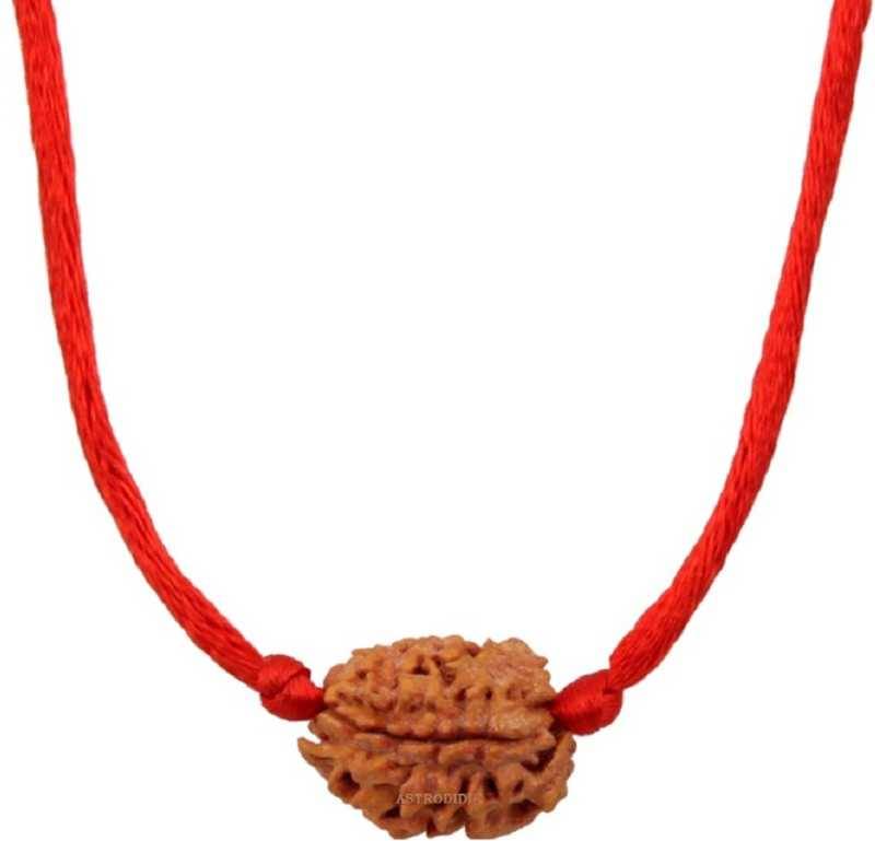     			Astrodidi 3 Mukhi Rudraksha With Lab Certificate