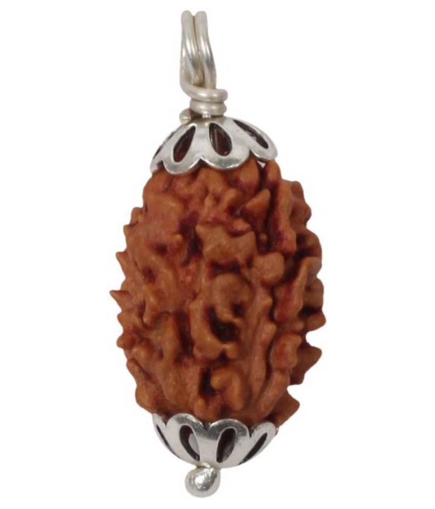     			Astrodidi 3 Mukhi Rudraksha With Lab Certified Rudraksha