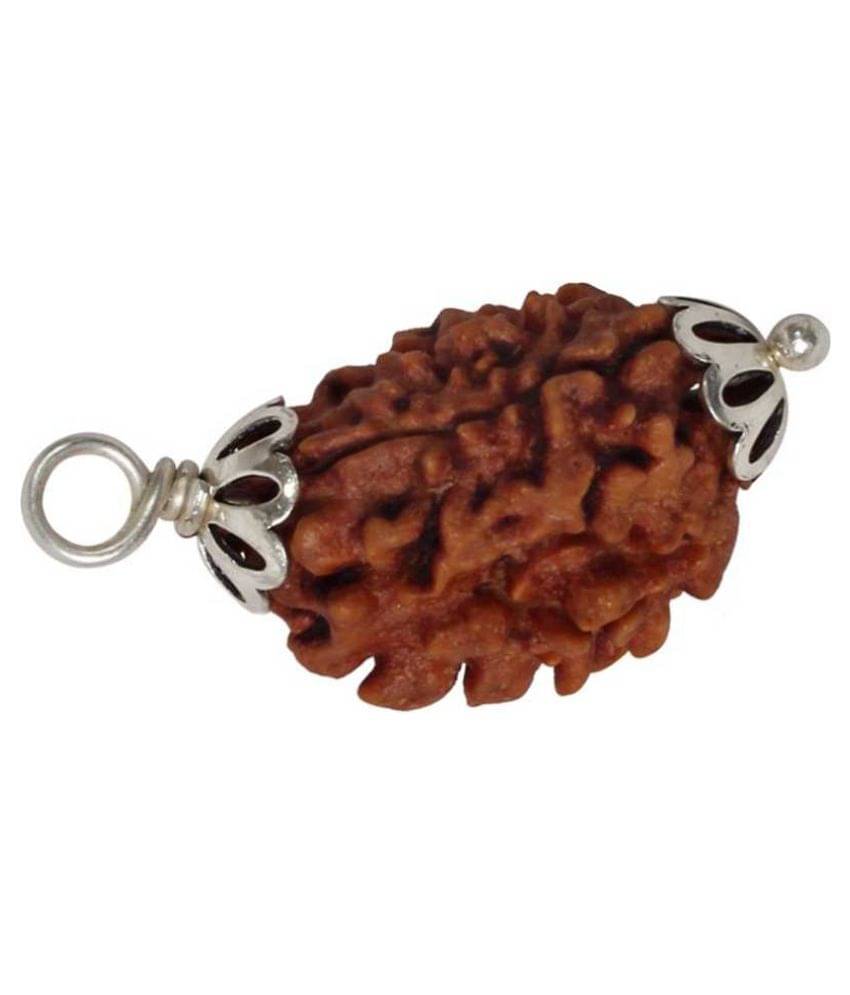     			Astrodidi 3 Mukhi Rudraksha Pendant With Lab Certificate