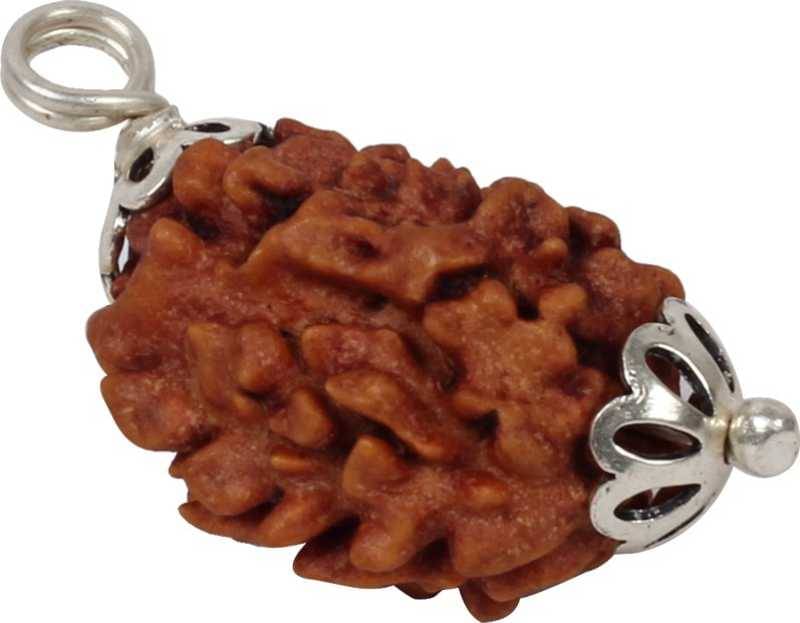     			Astrodidi 3 Mukhi Rudraksha (Lab Certified) Pendant