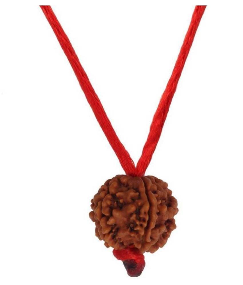     			Astrodidi Nepali 6 Mukhi Rudraksha With Lab Certificate