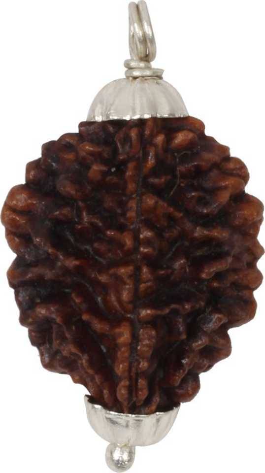     			Astrodidi 2 Mukhi Rudraksha Pendant Wth Lab Certificate