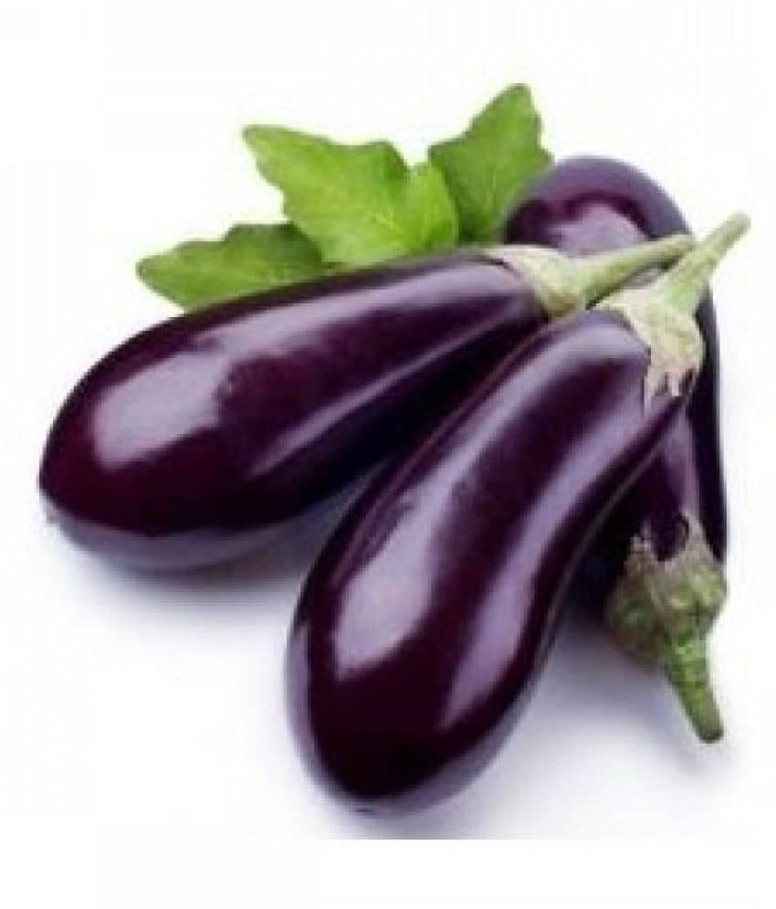 Brinjal Purple Long High Quality Seeds - Pack of 50 Seeds F1 Hybrid
