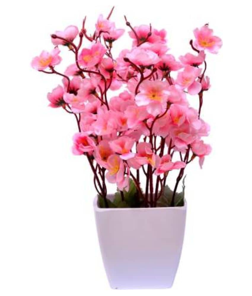 Green plant indoor Orchids Pink Flowers With Pot - Pack of 1