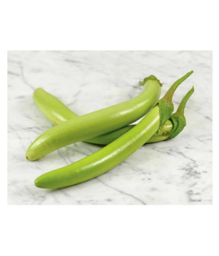Green Brinjal Exotic Vegetable Seeds - Pack of 50 Seeds F1 Hybrid