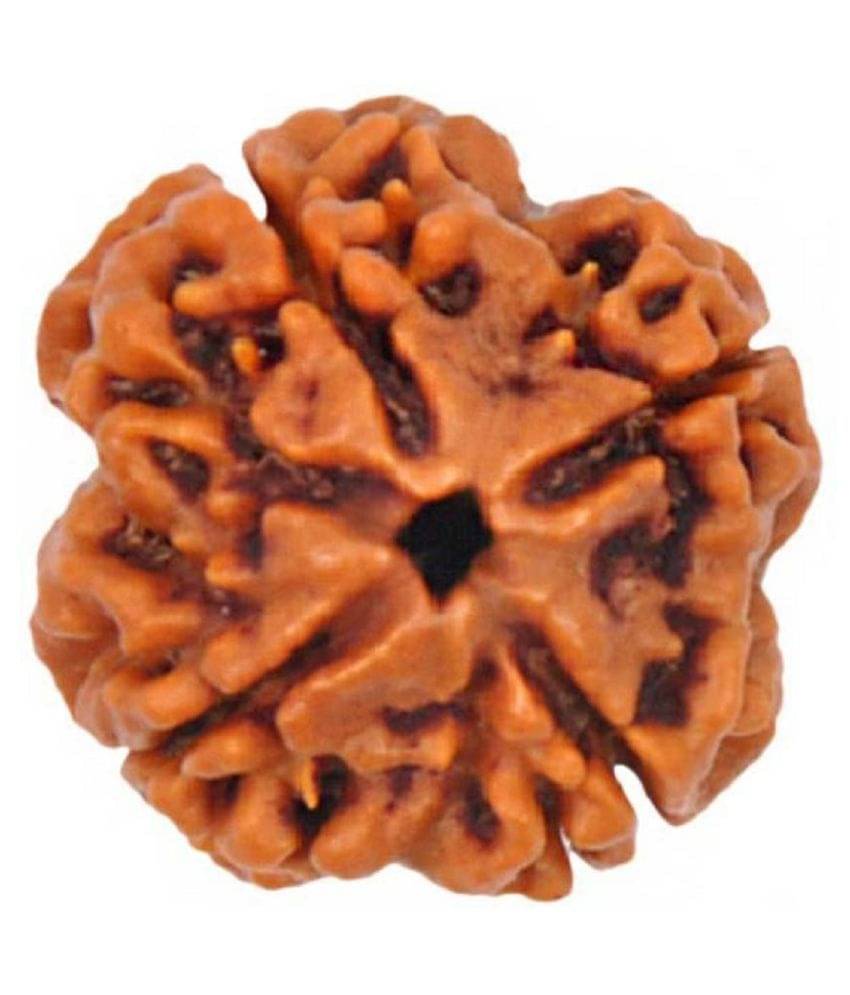     			Lord Brahma 4-Mukhi Nepal Rudraksha