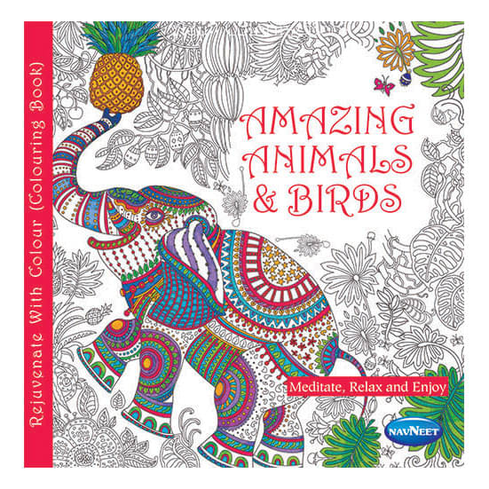     			Navneet Adult Colouring - Book 1