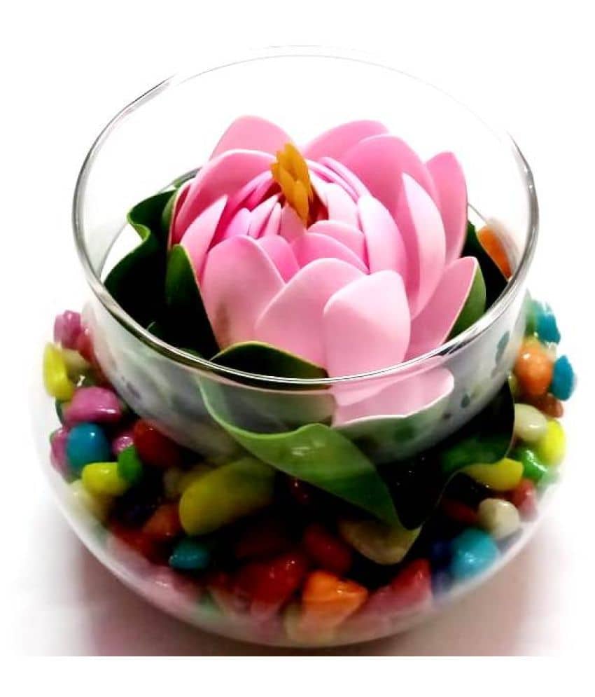 Green plant indoor Lotus Pink Flowers With Pot - Pack of 1