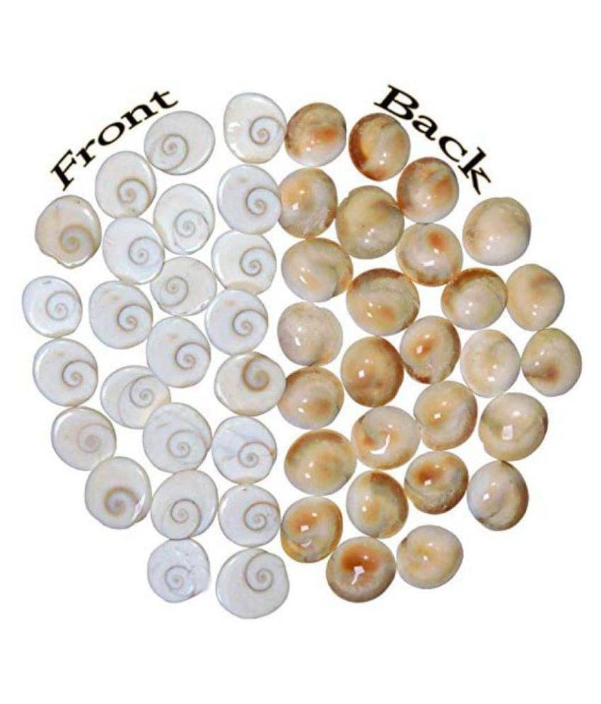 BHAUNE RETAILS ORIGINAL 21 GOMTI CHAKRA FOR RELIGIOUS AND SPIRITUAL PURPOSES BHAUNE RETAILS ORIGINAL 21 GOMTI CHAKRA FOR RELIGIOUS AND SPIRITUAL PURPOSES