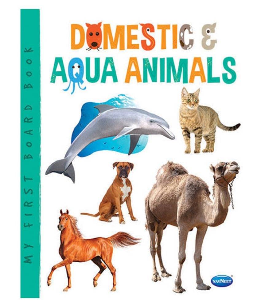     			Navneet My First Board Book Series - Domestic Animals