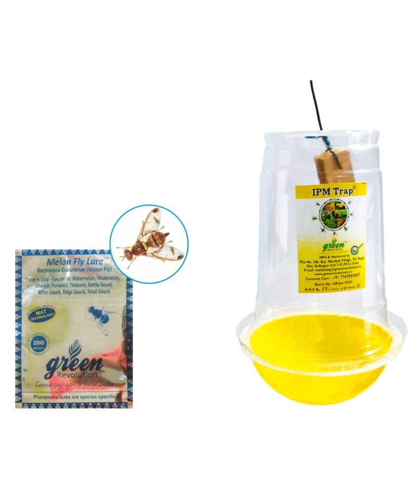 Combo Pack of IPM Pheromone Trap with Melon Fly Pheromone Lure for Controlling all Bactrocera Cucurbitae (Vegetable Special) Pack of 10, Complete for 1 Acre Combo Pack of IPM Pheromone Trap with Melon Fly Pheromone Lure for Controlling all Bactrocera Cucurbitae (Vegetable Special) Pack of 10, Complete for 1 Acre