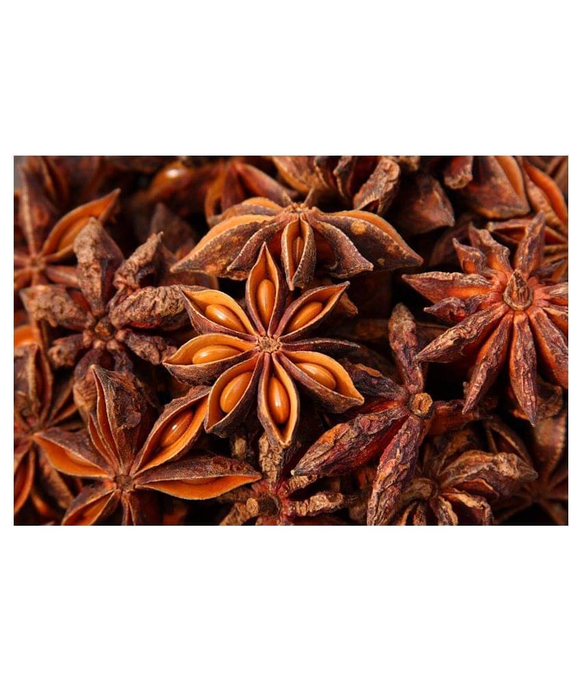     			UPPAL SONS - 100 gm Chakra Phool (Star Anise) (Pack of 1)