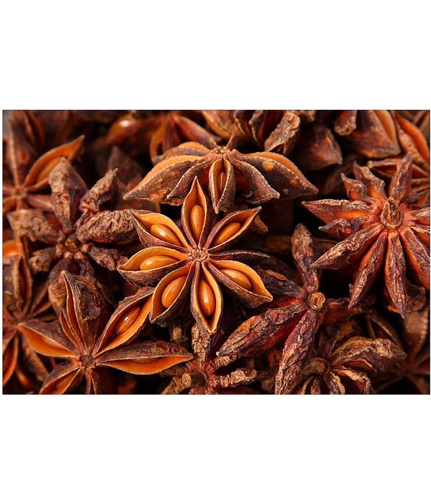 UPPAL SONS - 100 gm Chakra Phool (Star Anise) (Pack of 1)