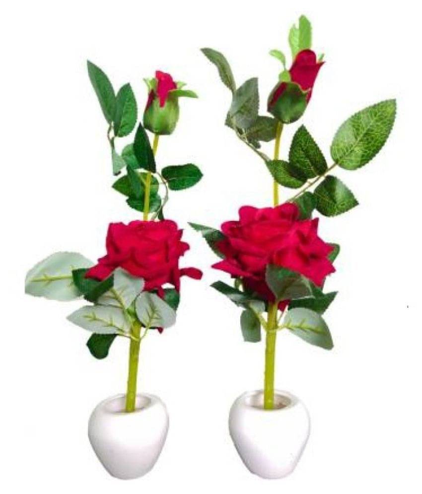 Green plant indoor Rose Red Flowers With Pot - Pack of 2 Green plant indoor Rose Red Flowers With Pot - Pack of 2