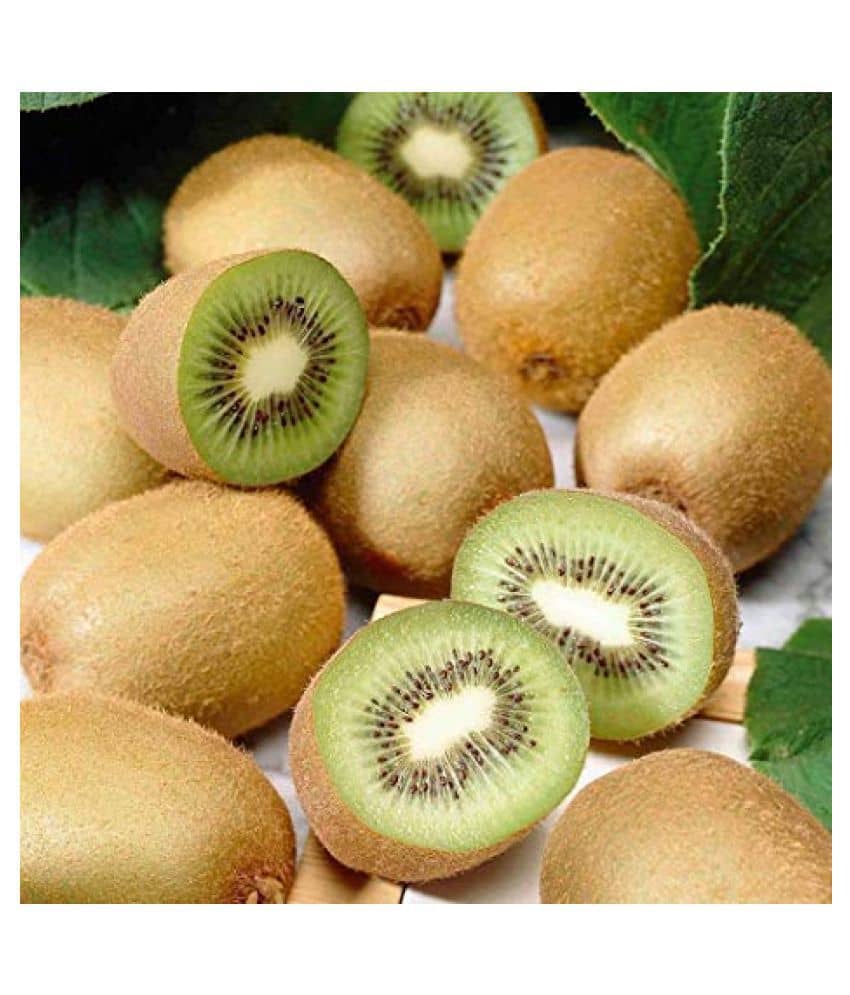 Royal Paradise Garden Rare Kiwi Fruit Plant Seeds +Dwarf Mixed Organic Large Sweet Guava Seeds