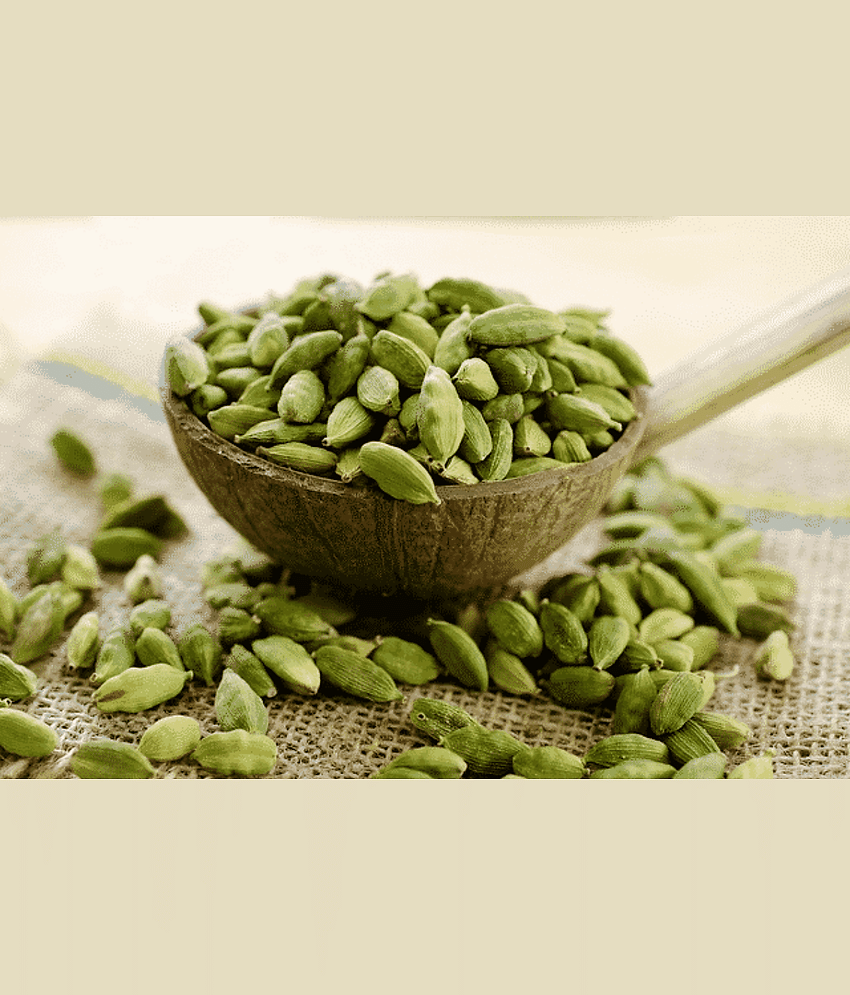 UPPAL SONS ELAICHI GREEN 100 gm