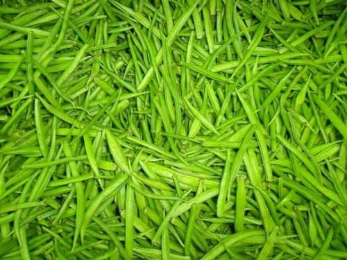 Kannan Enterprises Organic Natural Cluster Bean Seeds 50 Count