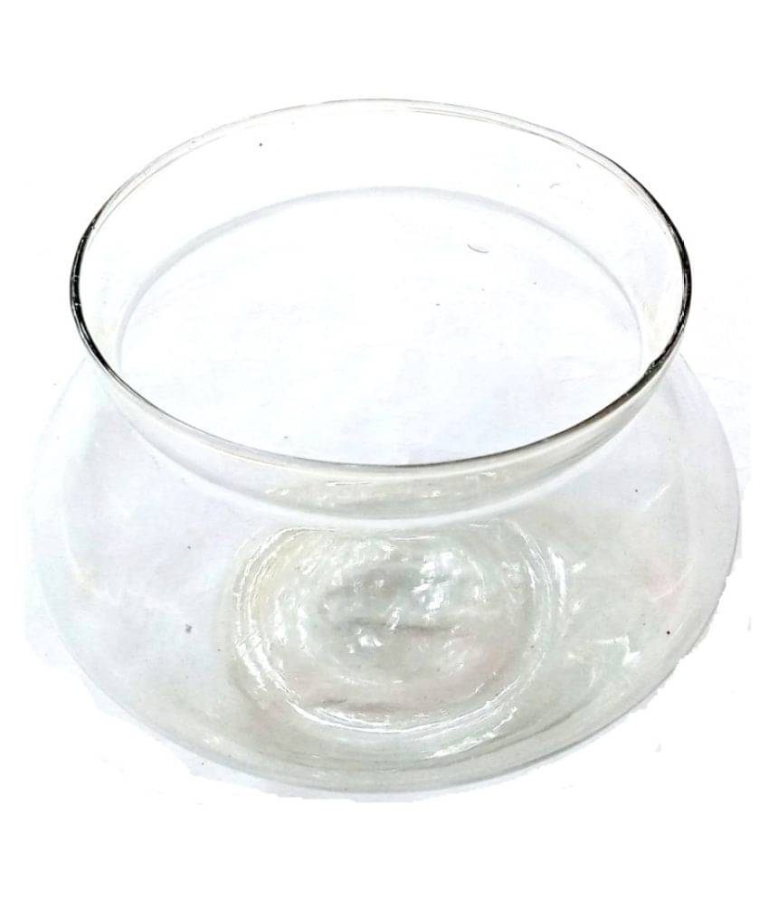 Green plant indoor Glass Table Vase 6 cms - Pack of 1 Green plant indoor Glass Table Vase 6 cms - Pack of 1