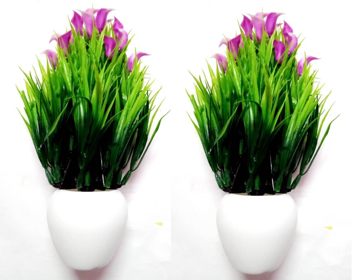 Green plant indoor Wild Flower Blue Flowers With Pot - Pack of 2