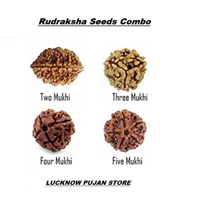     			Lucknow Pujan Store Rudraksha Pack of 4
