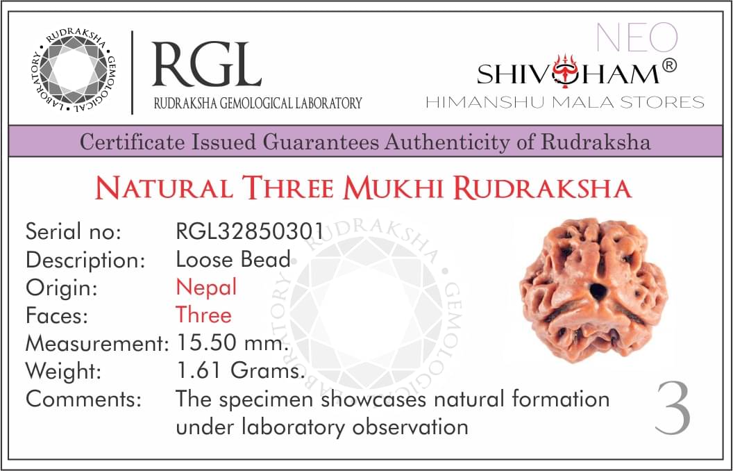 SHIVOHAM 3 Mukhi Lab Certified Rudraksha (Origin Nepal) Good Shape & Matured Bead (Size 15-20mm) SHIVOHAM 3 Mukhi Lab Certified Rudraksha (Origin Nepal) Good Shape & Matured Bead (Size 15-20mm)