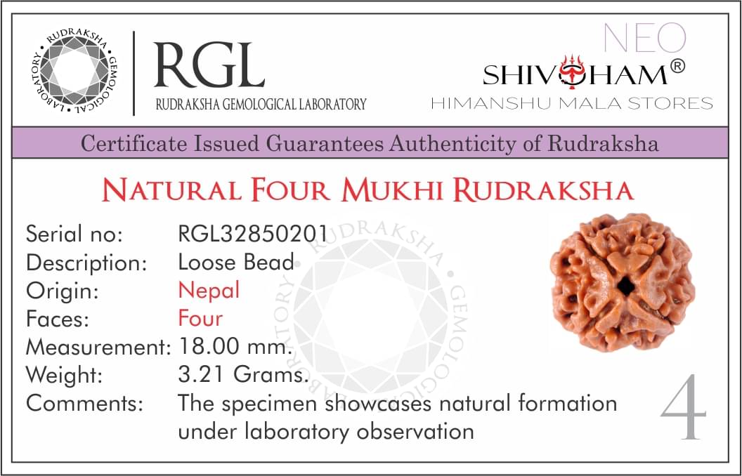 SHIVOHAM 4 Mukhi Lab Certified Rudraksha (Origin Nepal) Good Shape & Matured Bead (Size 15-20mm) SHIVOHAM 4 Mukhi Lab Certified Rudraksha (Origin Nepal) Good Shape & Matured Bead (Size 15-20mm)