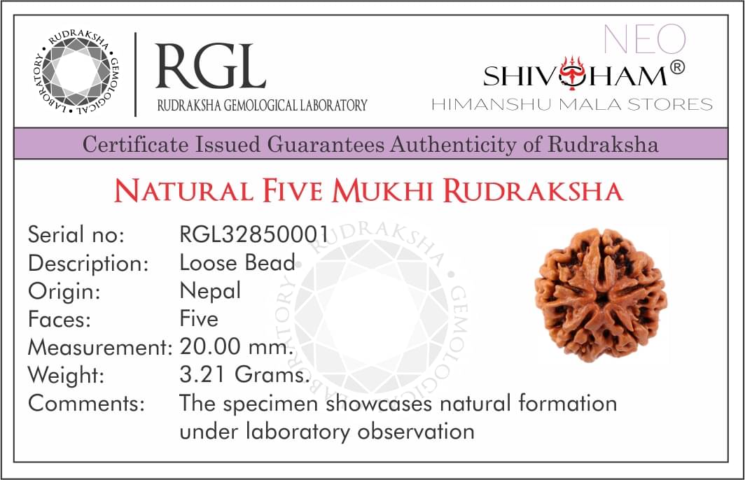 SHIVOHAM 5 Mukhi Lab Certified Rudraksha (Origin Nepal) Good Shape & Matured Bead (Size 18-22mm) SHIVOHAM 5 Mukhi Lab Certified Rudraksha (Origin Nepal) Good Shape & Matured Bead (Size 18-22mm)