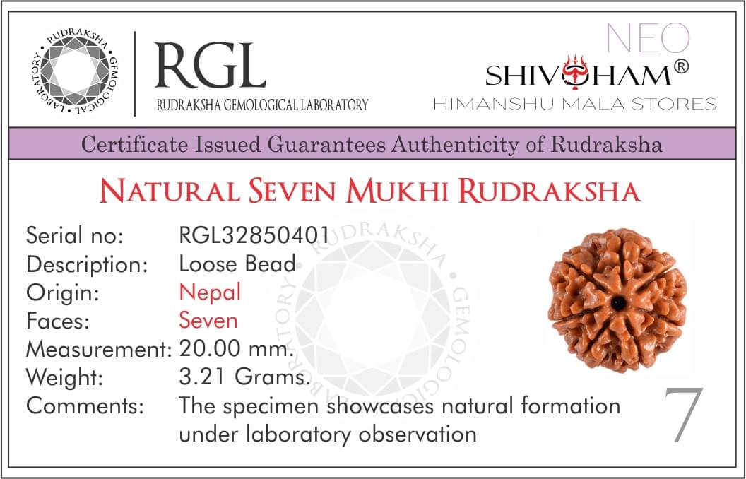 SHIVOHAM 7 Mukhi Lab Certified Rudraksha (Origin Nepal) Good Shape & Matured Bead (Size 18-23mm) SHIVOHAM 7 Mukhi Lab Certified Rudraksha (Origin Nepal) Good Shape & Matured Bead (Size 18-23mm)