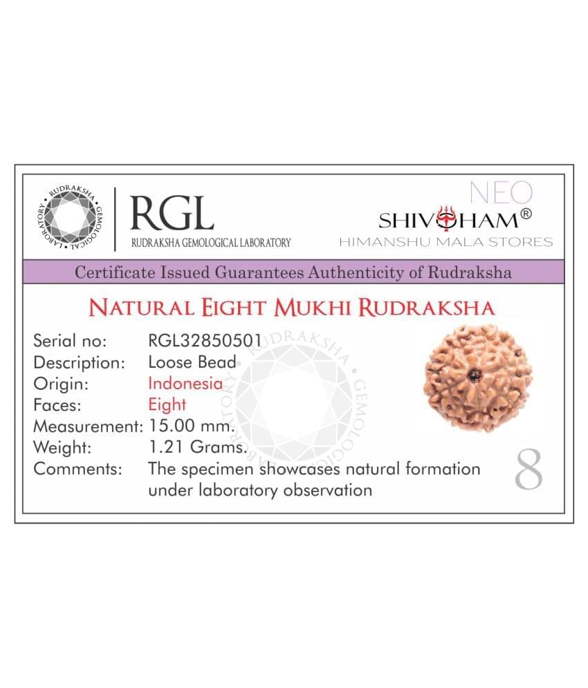 SHIVOHAM 8 Mukhi Lab Certified Rudraksha (Origin Java) Good Shape & Matured Bead (Size 15-18mm) SHIVOHAM 8 Mukhi Lab Certified Rudraksha (Origin Java) Good Shape & Matured Bead (Size 15-18mm)