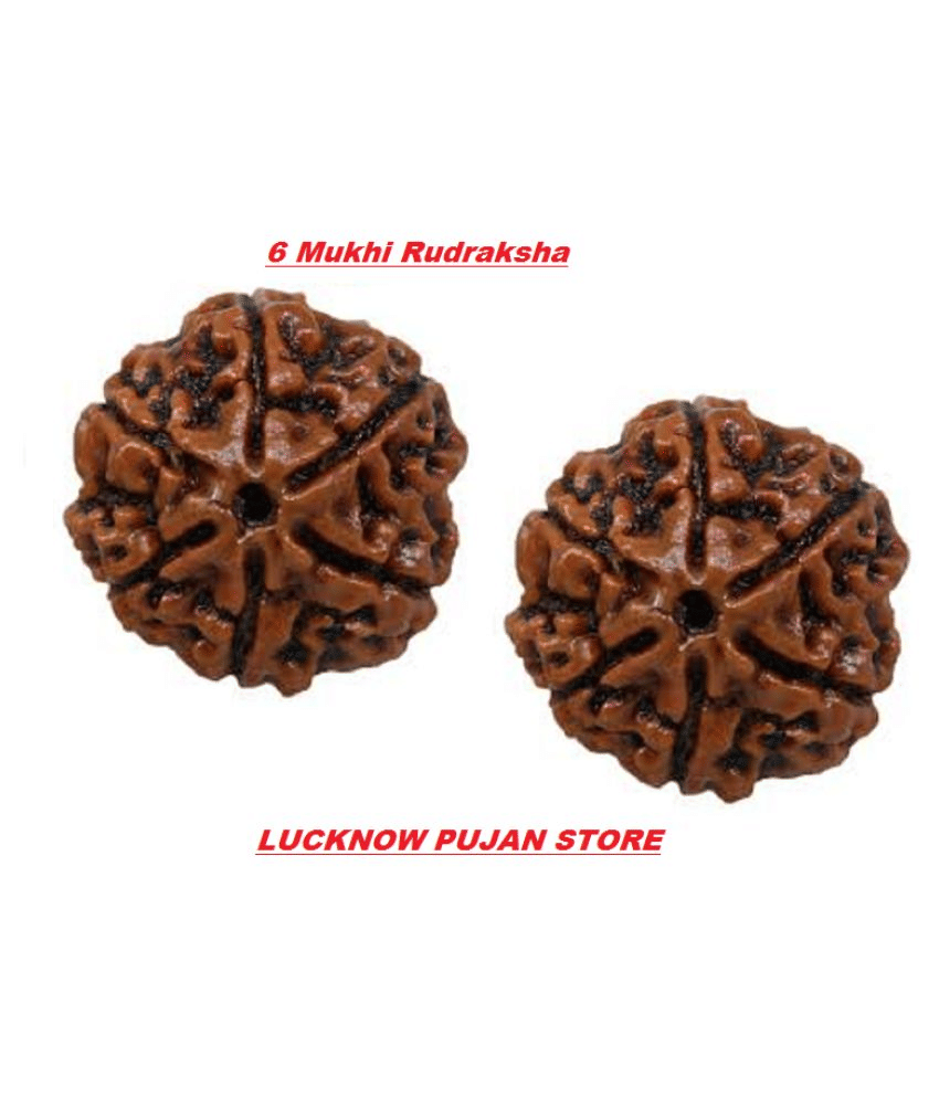 Lucknow Pujan Store Rudrash 6 Mukhi
