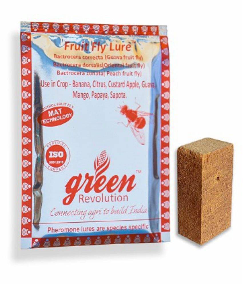     			Fruit Fly Pheromone Lure (Bactrocera Dorsalisa Pheromone lure) for fruit fly pheromone trap pack of 10 only lure