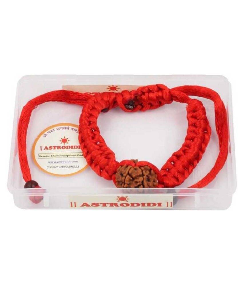     			Astrodidi 4 Mukhi Four Face Rudraksha Bracelet