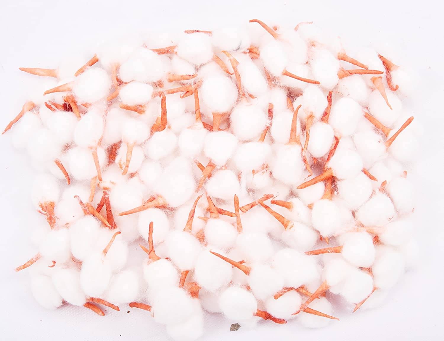     			SINQEX Kesar White Color Round Shaped with Kesar on top Cotton Wicks Pack of 51