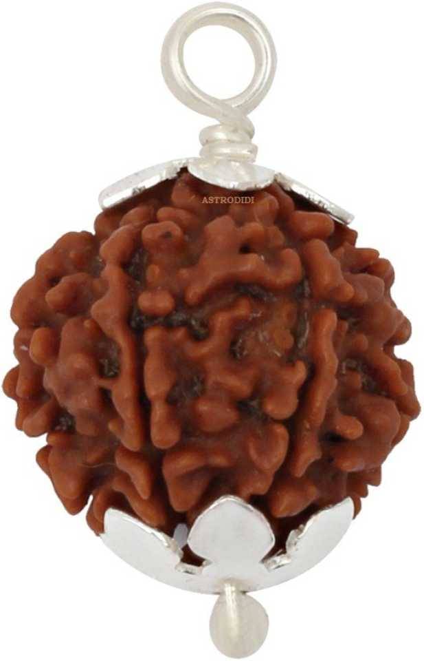     			Astrodidi 5 Mukhi Rudraksha Pendant With Lab Certificate