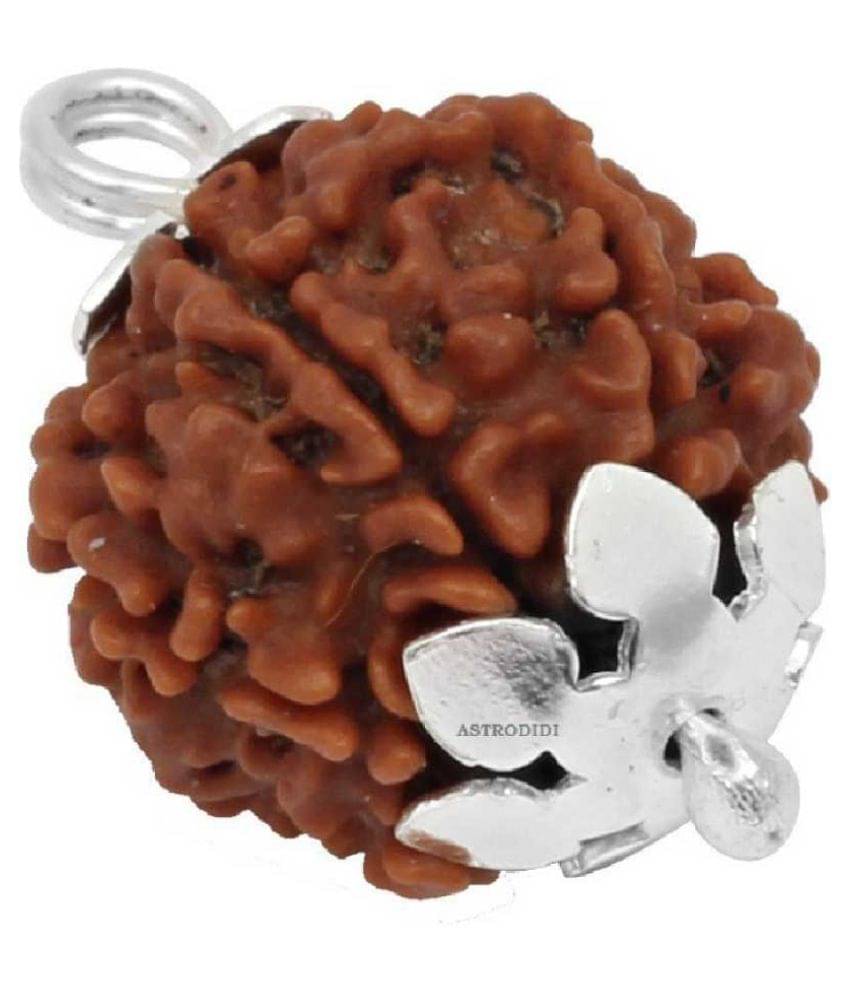 Astrodidi 4 Mukhi Rudraksha Four Face Rudraksha With Lab Certificate Astrodidi 4 Mukhi Rudraksha Four Face Rudraksha With Lab Certificate