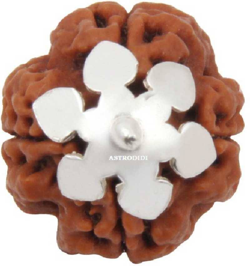     			Astrodidi 4 Mukhi Rudraksha Pendant With Lab Certificate