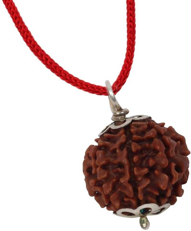 Astrodidi 6 Mukhi Rudraksha Pendant With Lab Certificate