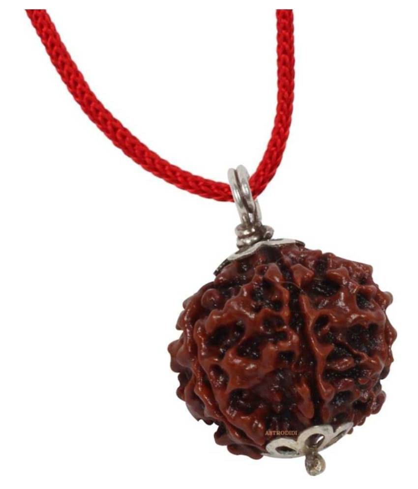     			Astrodidi 6 Mukhi Rudraksha Pendant With Lab Certificate