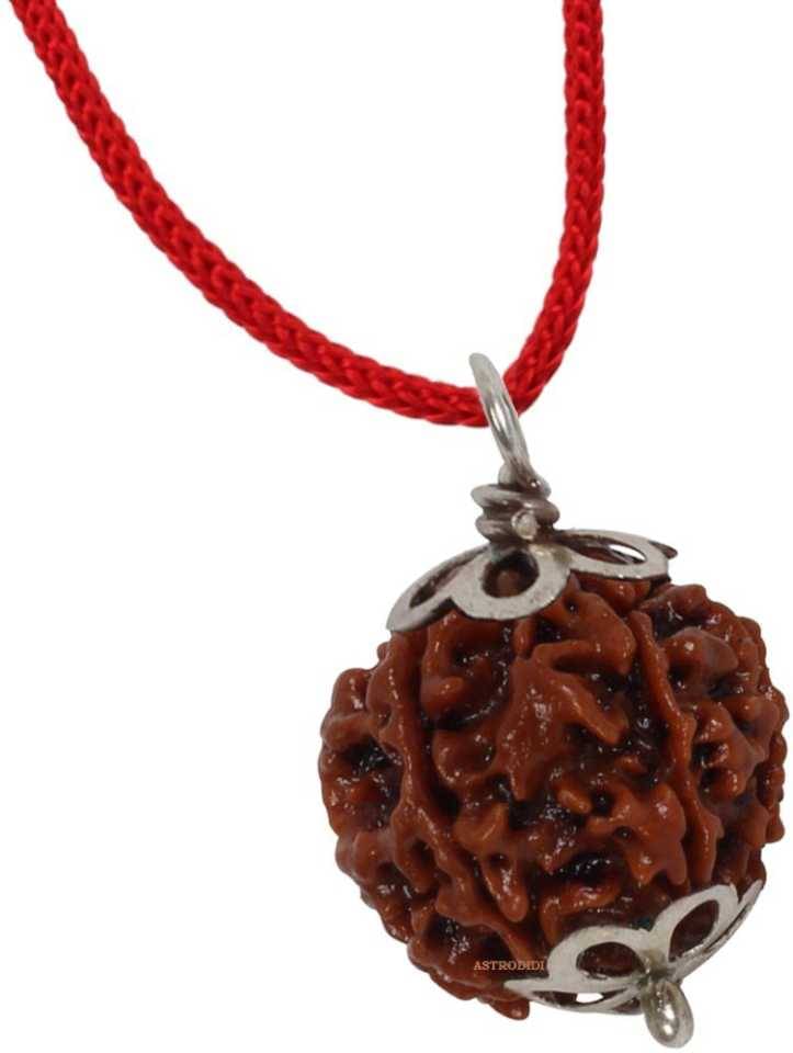     			Astrodidi 6 Mukhi Rudraksha With Pendant With Lab Certificate