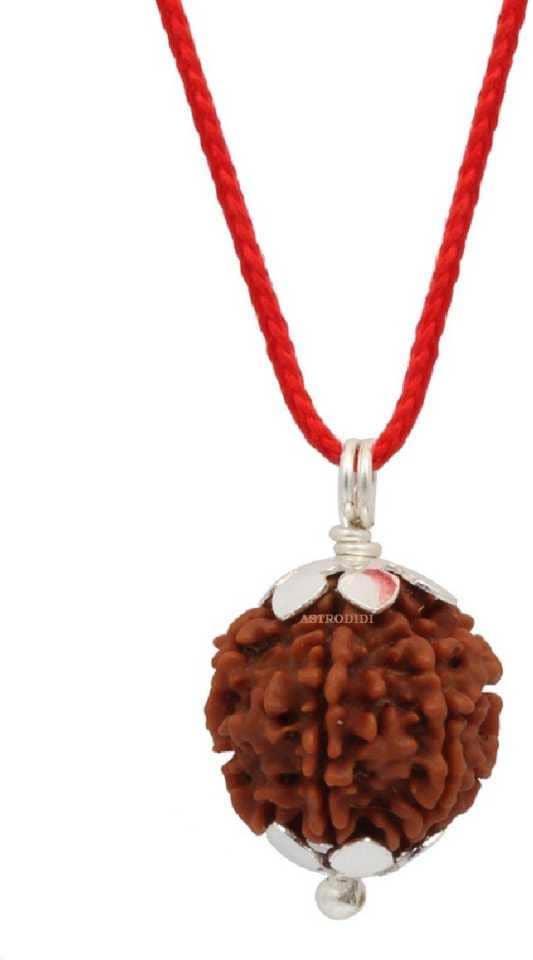 Astrodidi 6 Mukhi Rudraksha Pendant With Lab Certificate