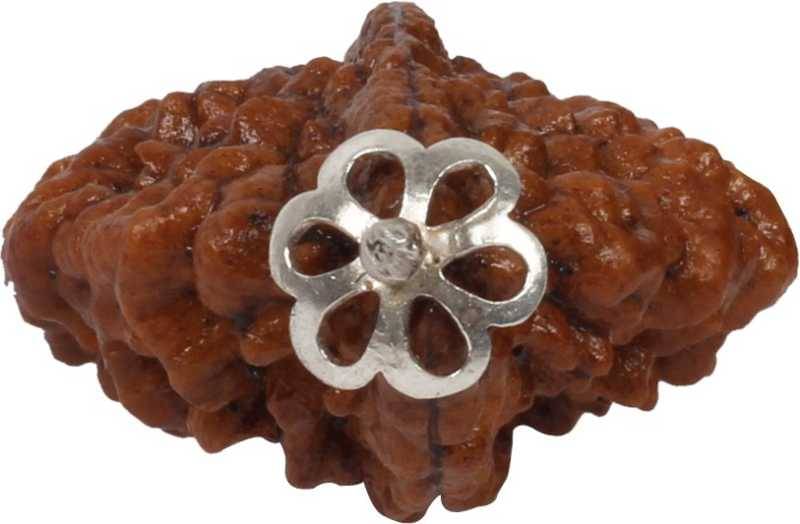     			Astrodidi 2 Mukhi Rudraksha Pendant With Lab Certificate
