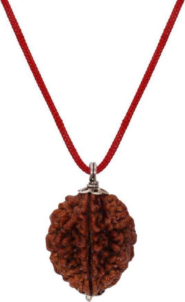     			Astrodidi 2 Mukhi Rudraksha With Lab Report