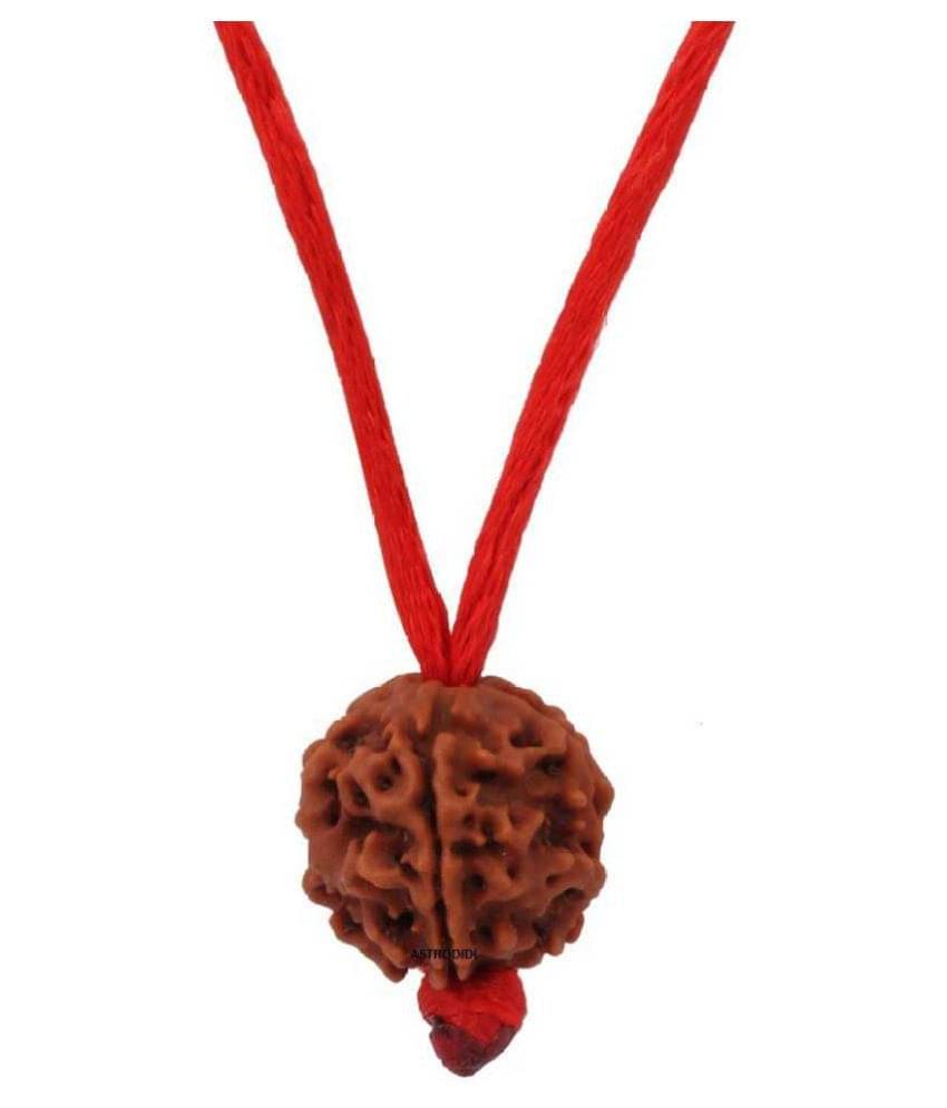     			Astrodidi 5 Mukhi Rudraksha With Lab Certificate