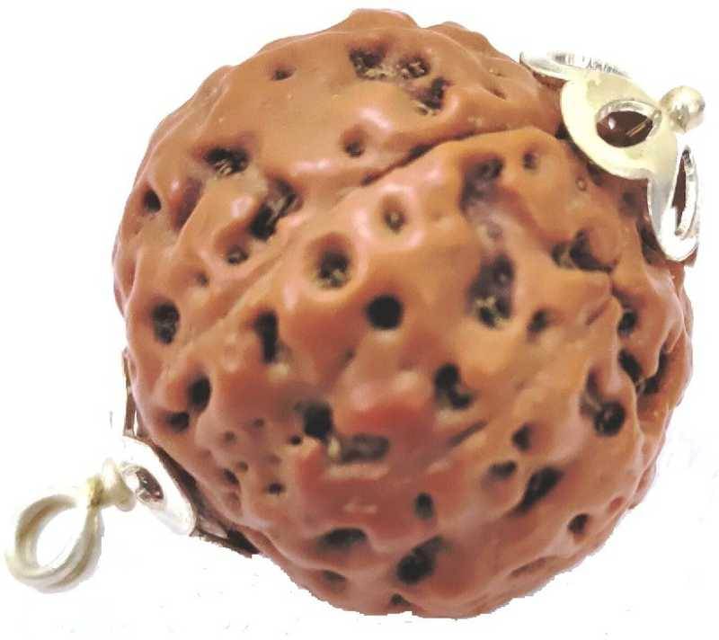 Astrodidi 8 Mukhi Rudraksha Indonesian Big Size Pendant With Lab Certificate Original, Real And Natural     			Astrodidi 8 Mukhi Rudraksha Indonesian Big Size Pendant With Lab Certificate Original, Real And Natural