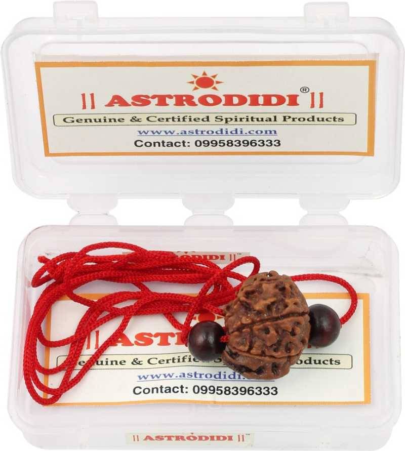     			Astrodidi Ganesh Rudraksha With Red Chandan Beads