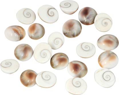     			Astrodidi Gomti Chakra 21 Pcs Small Size
