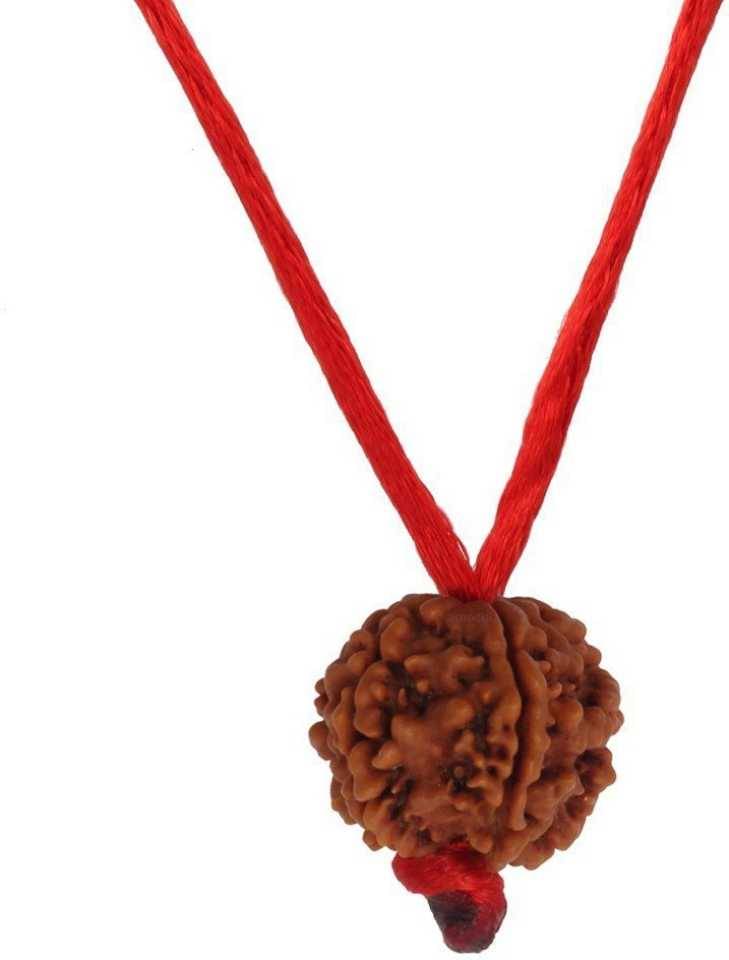     			Astrodidi Nepali 6 Mukhi Rudraksha With Lab Certificate