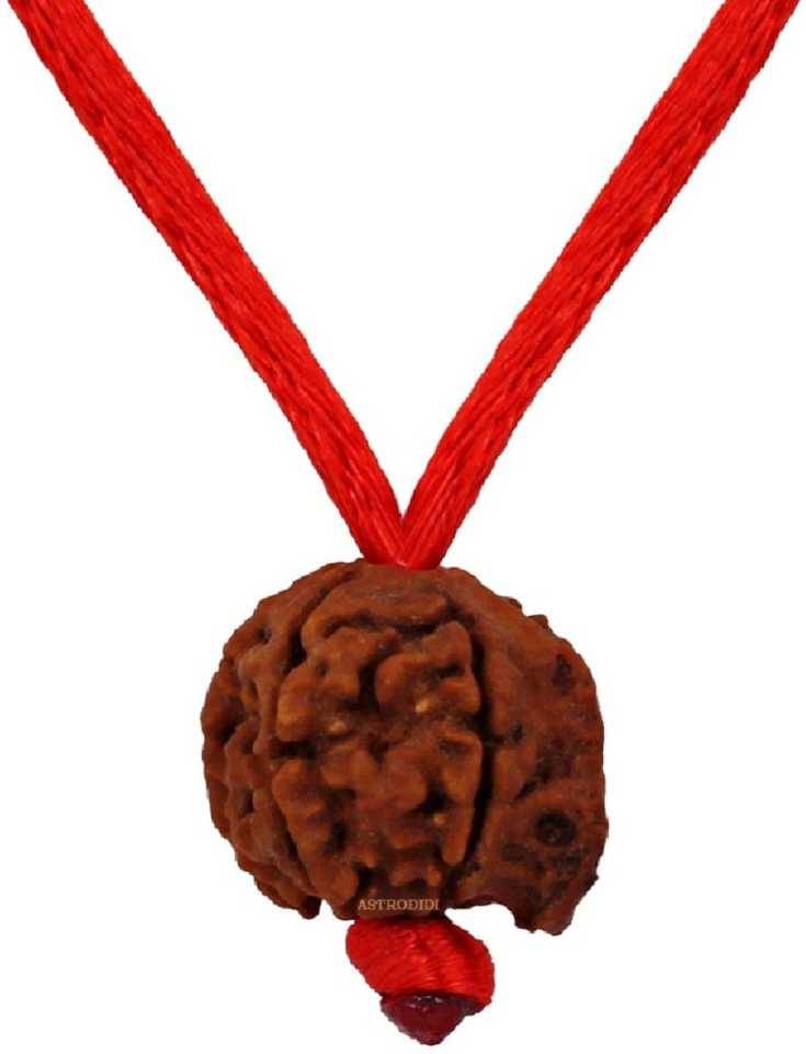     			Astrodidi Nepali Ganesh Rudraksha With Lab Certificate