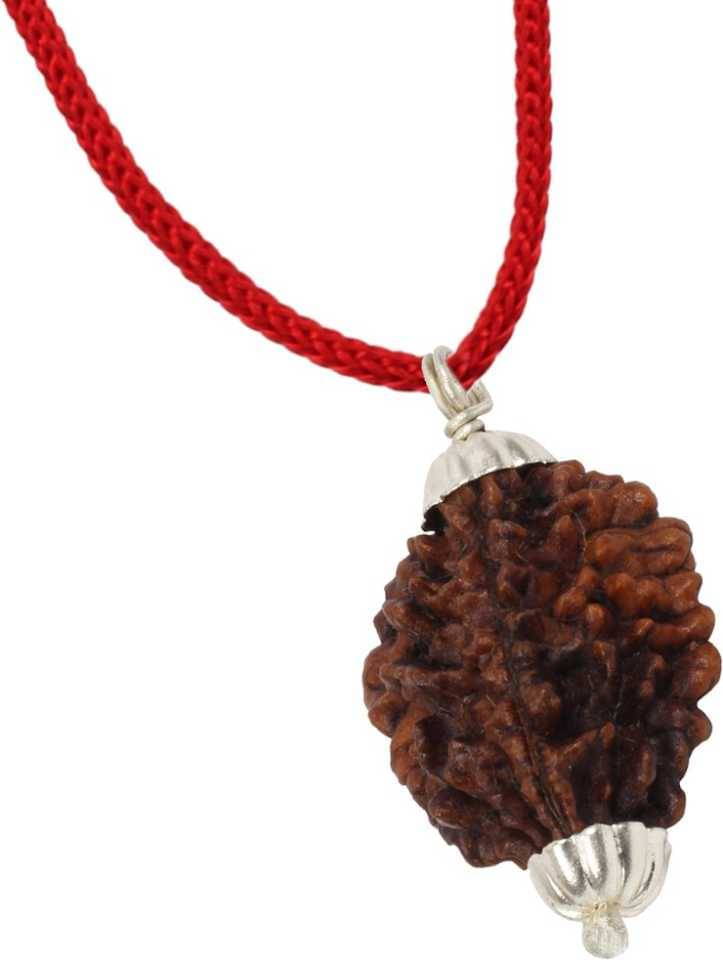     			Astrodidi 2 Mukhi Rudraksha Pendant Wth Lab Certificate
