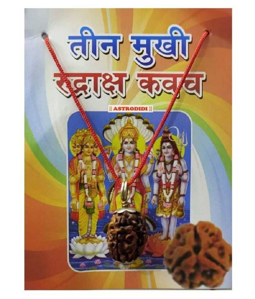     			3 Mukhi Rudraksha Kawach Pendant